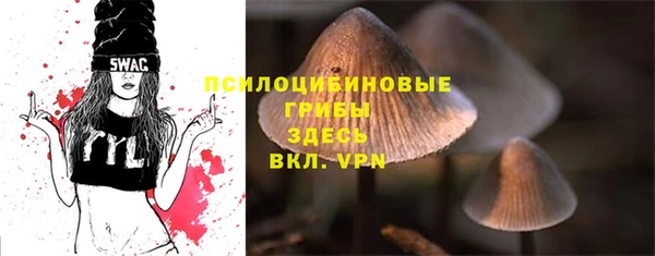 дурь Армянск