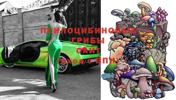 a pvp Аркадак