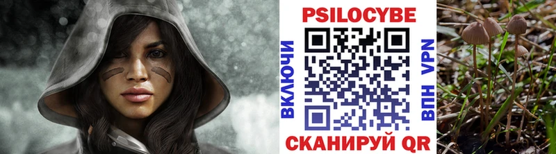 где найти   Сураж  darknet наркотические препараты  Галлюциногенные грибы Psilocybe 